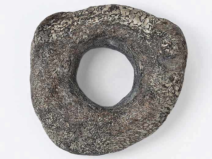 Vertbre fossile de poisson Pachycormiformes jurassique Boulonnais